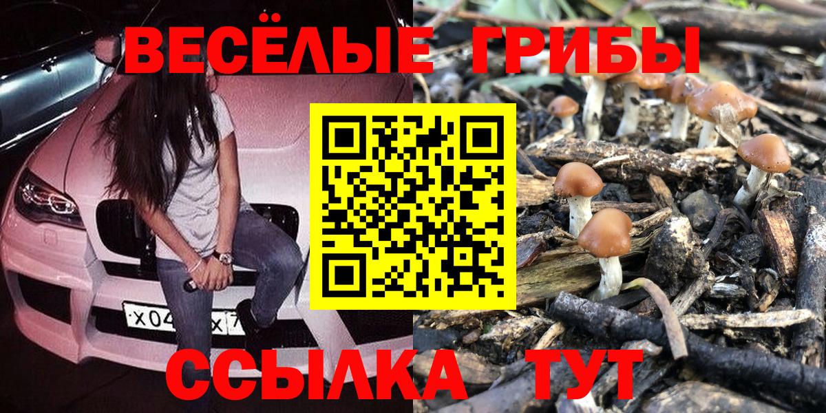 Галлюциногенные грибы Magic Shrooms Унеча