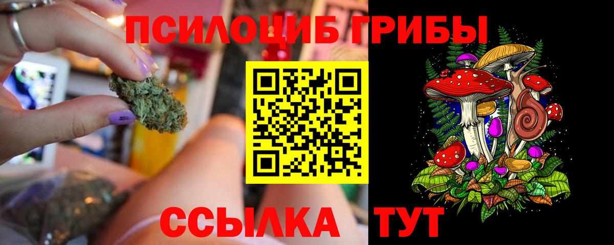 даркнет сайт  Вход с VPN  Унеча  Галлюциногенные грибы Magic Shrooms 